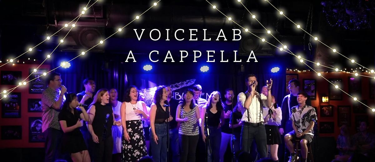VoiceLab A Cappella Winter Concert
