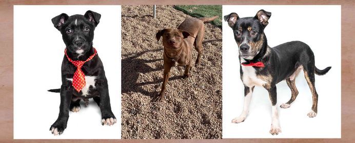 Carlos Miguel's Restaurant Event