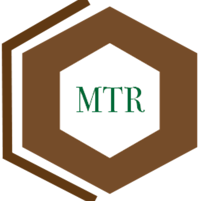 MTR Group LLC