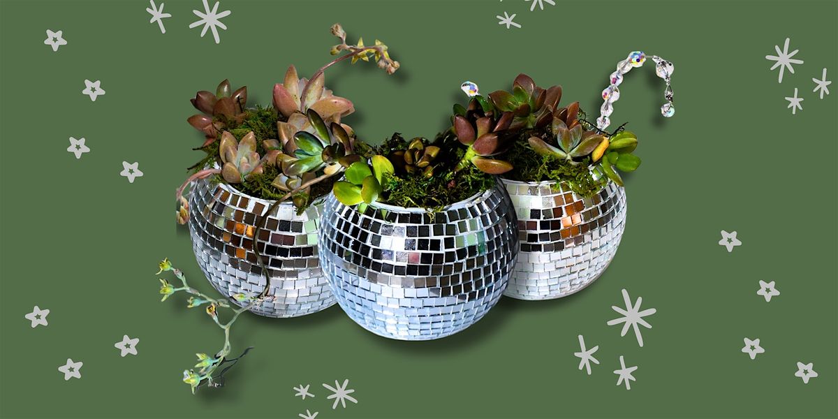 Craft and Sip: Make Your Own Disco Ball Planter With Succulents