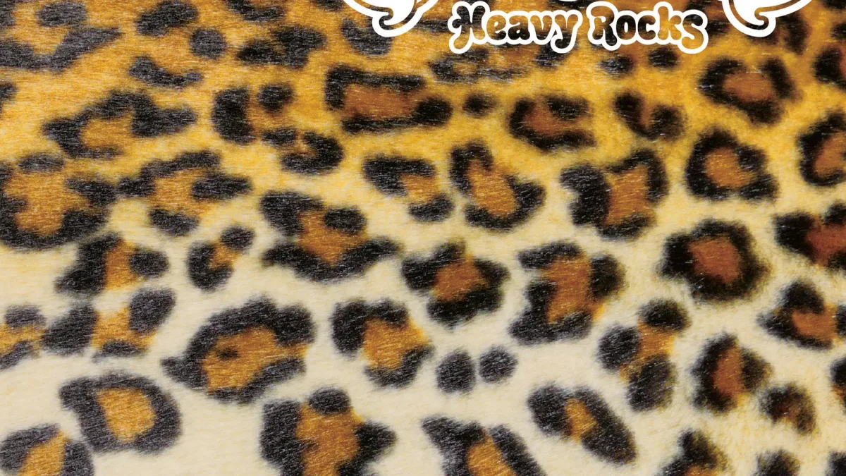 Boris in San Francisco