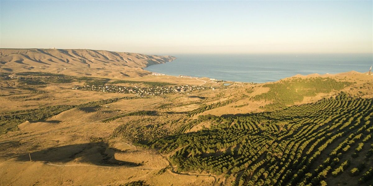 Santa Barbara Wine Country