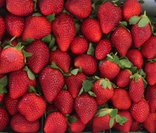 6th Annual Strawberry Festival