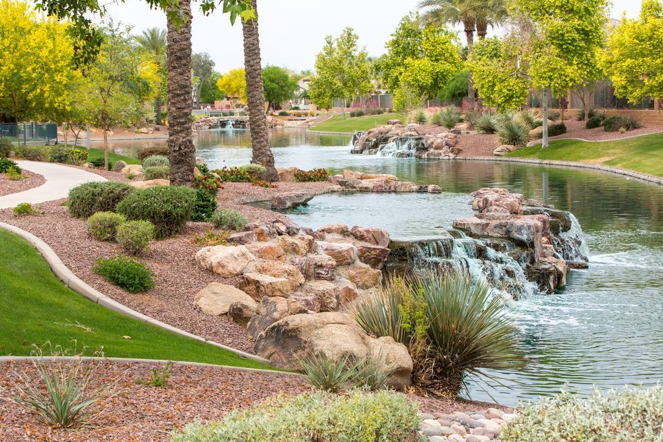 WaterWise What Drought Means for Chandler Basha Library