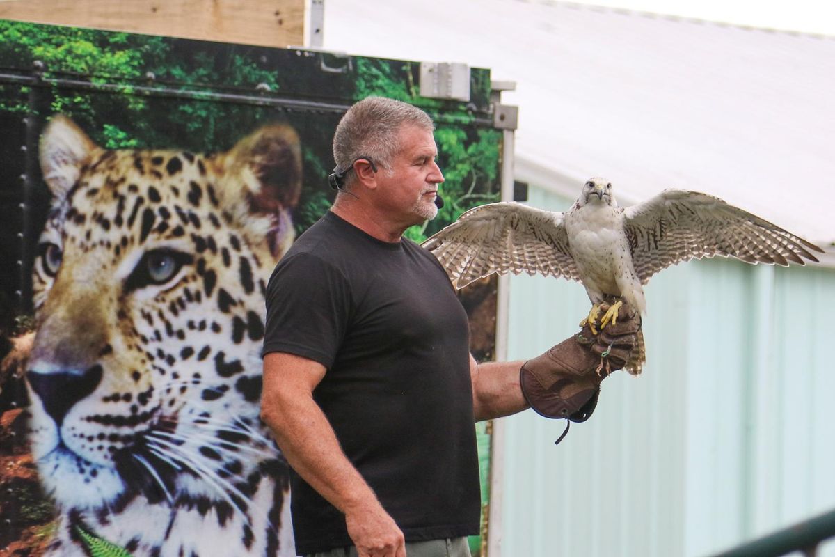 Wild World of Animals