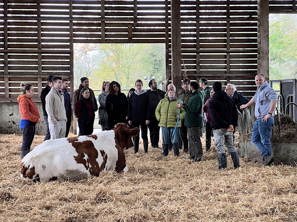 Event Photos