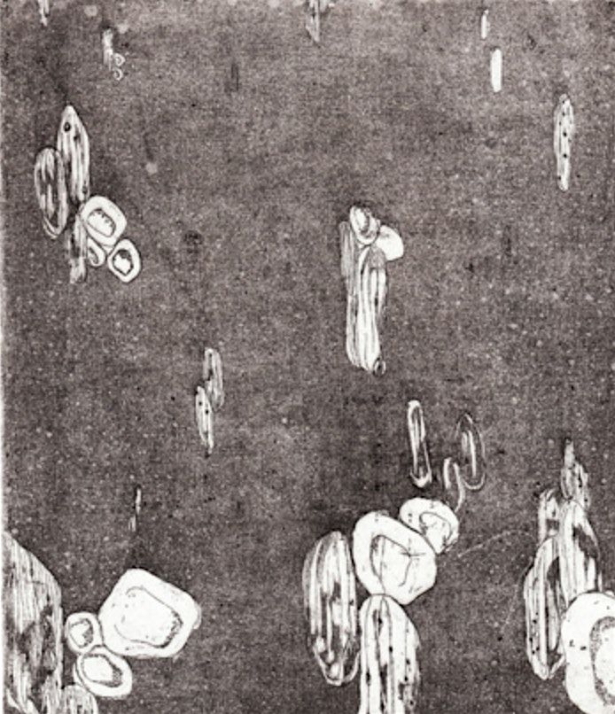 Intaglio - Copperplate Etching 2 Session Mini Course