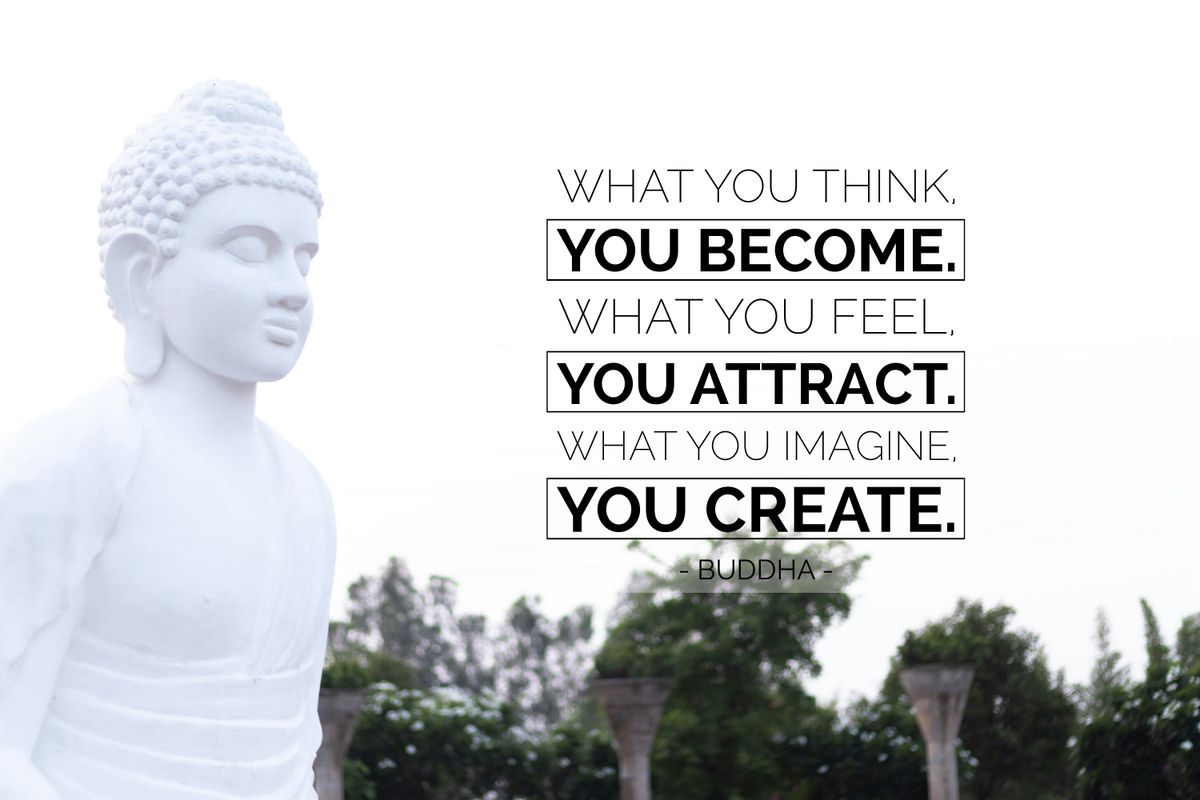 Festival of frequencies