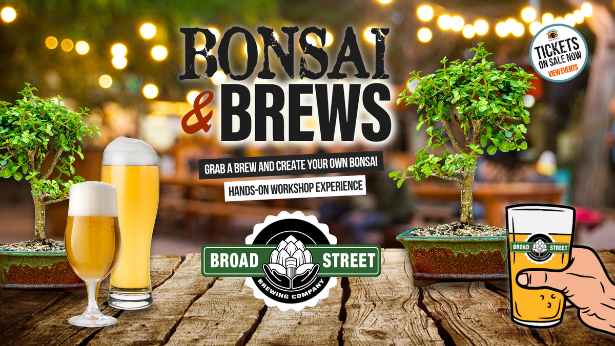 Thunderstruck at House of Blues Myrtle Beach