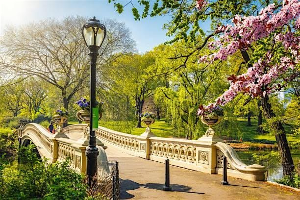 Central Park Social Walk (50s & Over)