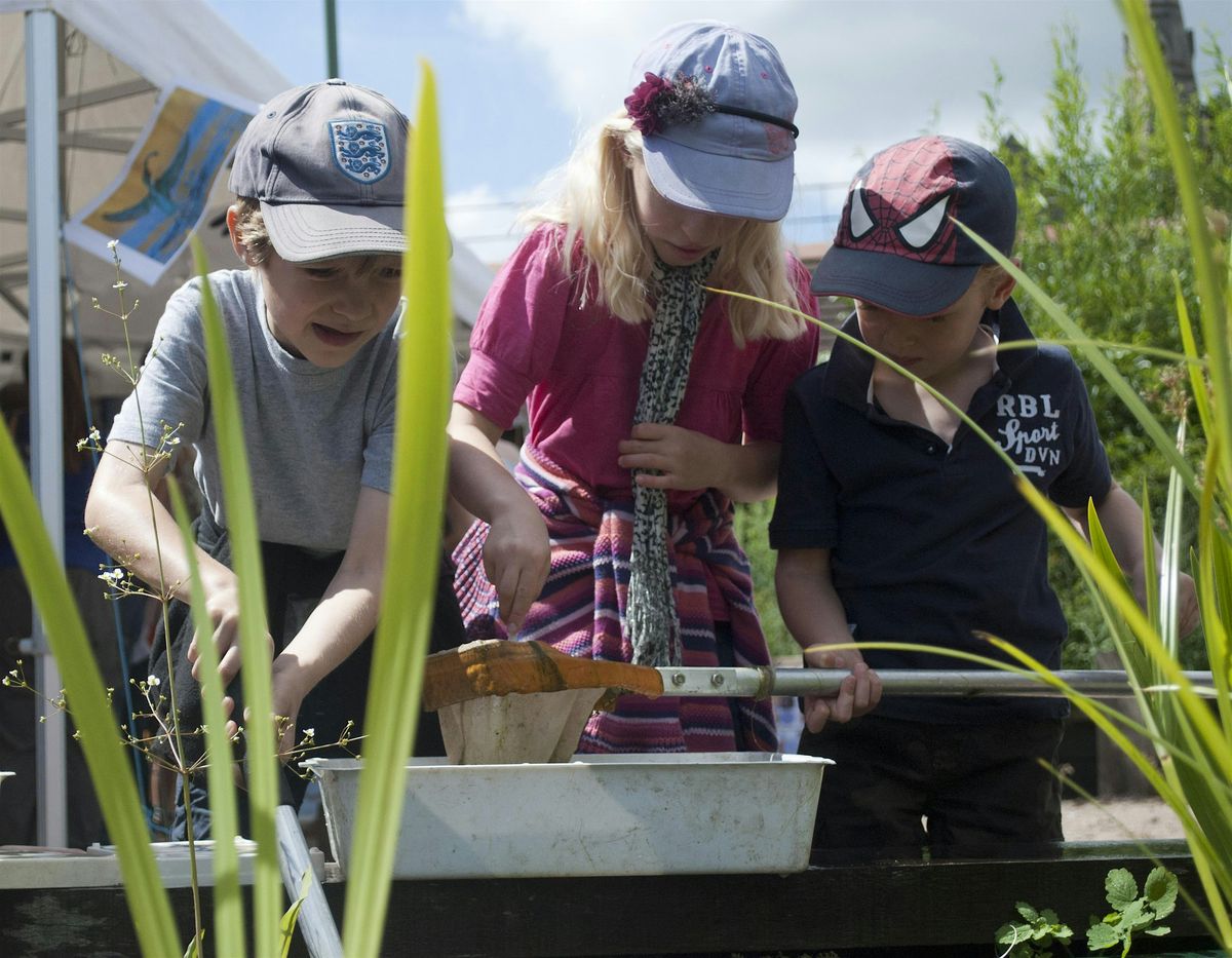 Wild in the Meadows: Family pond dip & adventure walk (Trumpington Meadows)