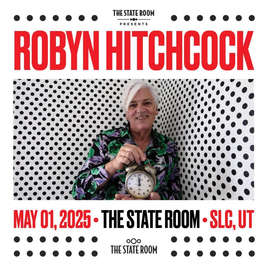 Robyn Hitchcock