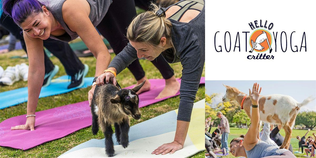 11 am Goat Yoga at the L.A. Arboretum