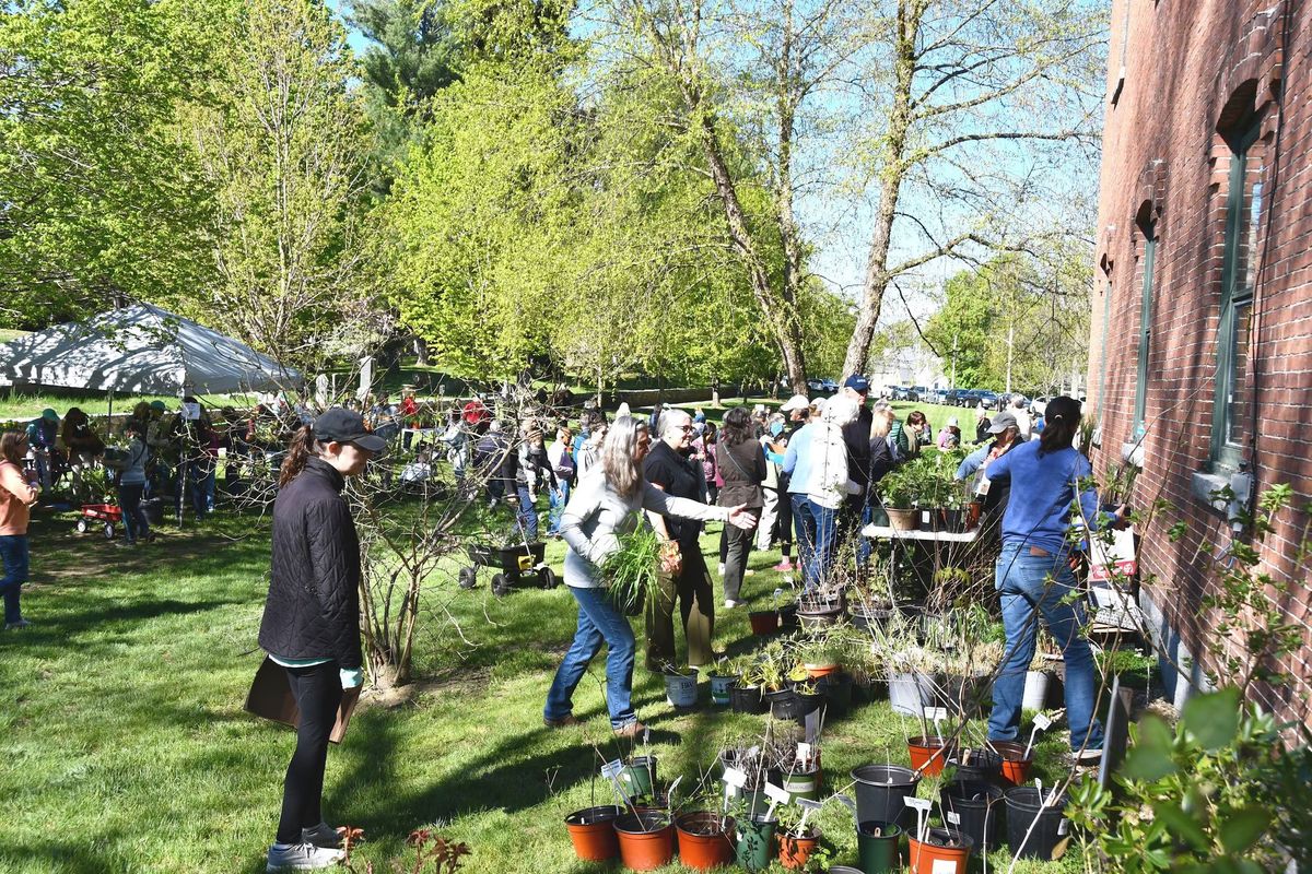 Plant Sale 2025 | 75 Hollis St, Groton, MA 01450-1356, United States ...