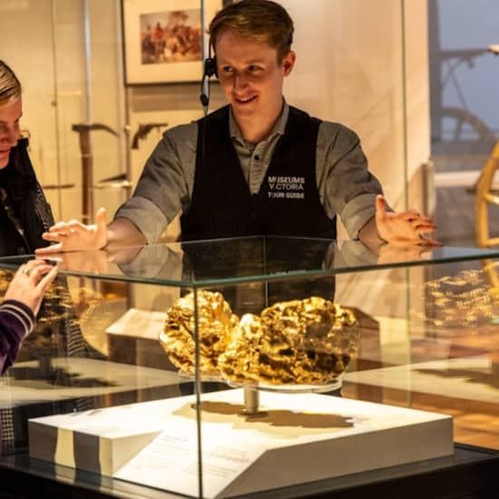 Melbourne Museum: Guided Highlights Tour