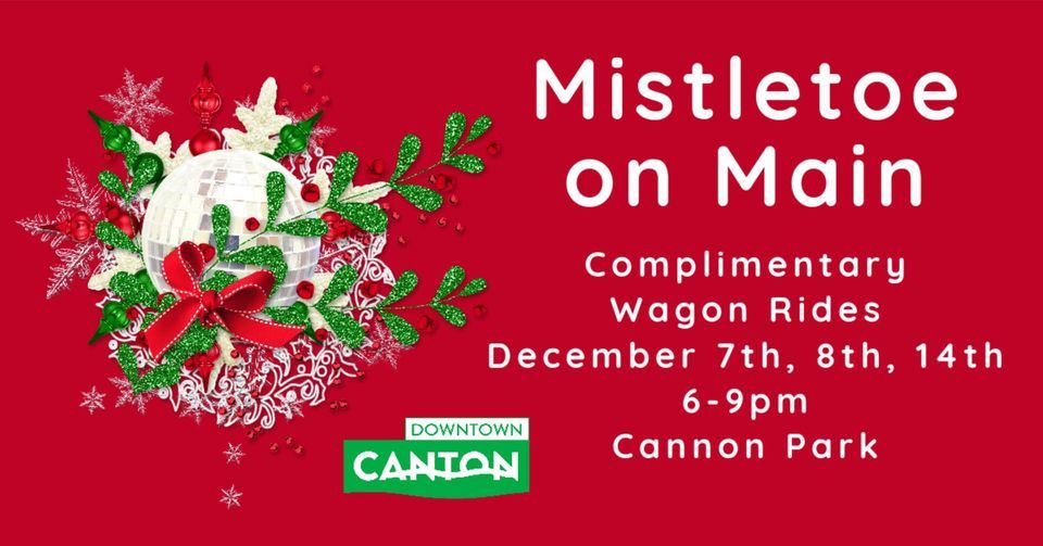 Downtown Canton GA Mistletoe on Main