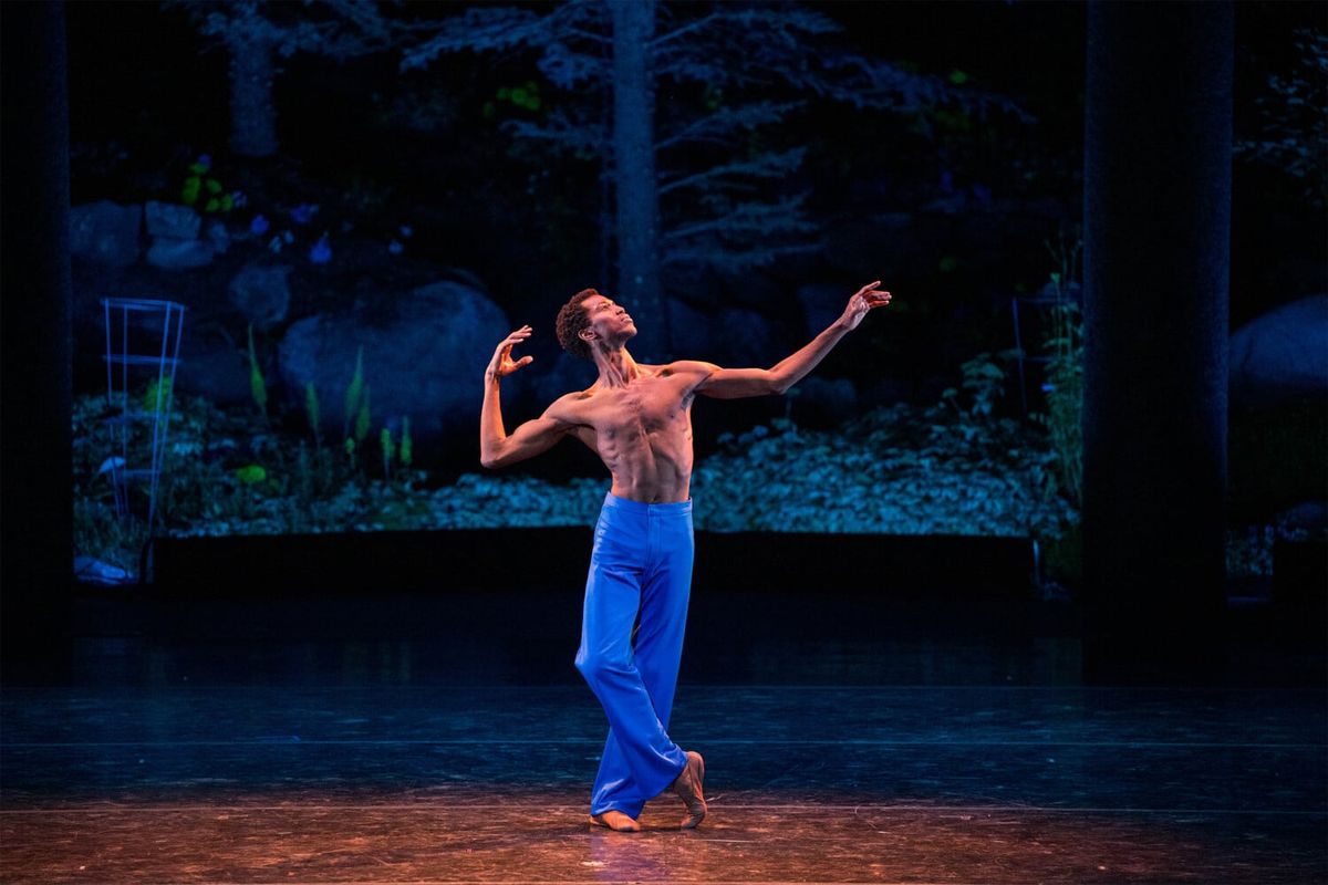 Toronto International Ballet Theatre - Seattle
