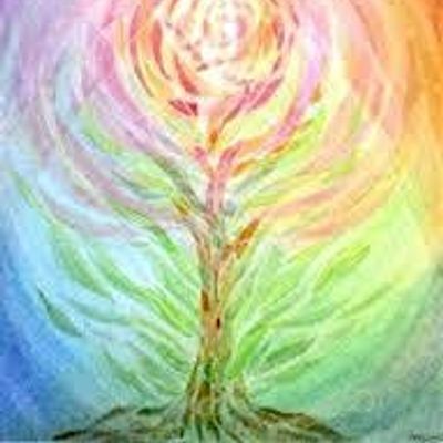 The Holistic Fair