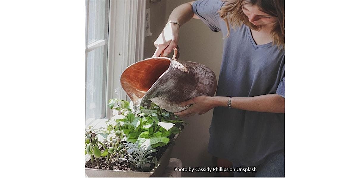 Frederick County Master Gardener:Make&Take Mini-Garden for 1st-12th graders