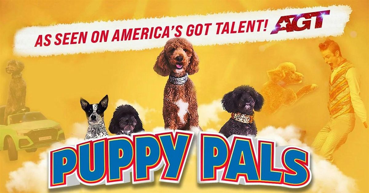 Puppy Pals LIVE!