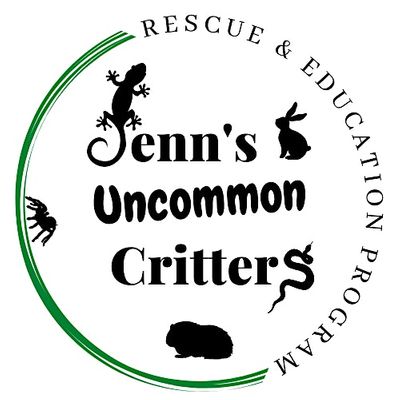 Jenn's Uncommon Critters