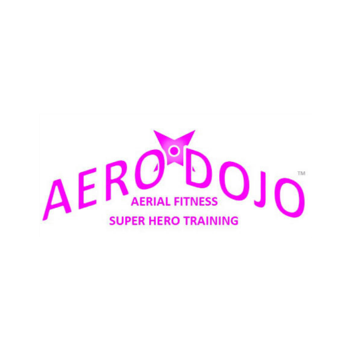 Aero Dojo: Aerial Flight & Fight
