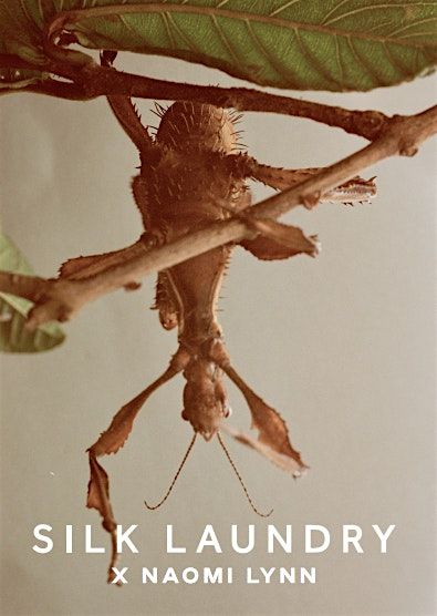 Sip, Style & Socialise at SILK Laundry