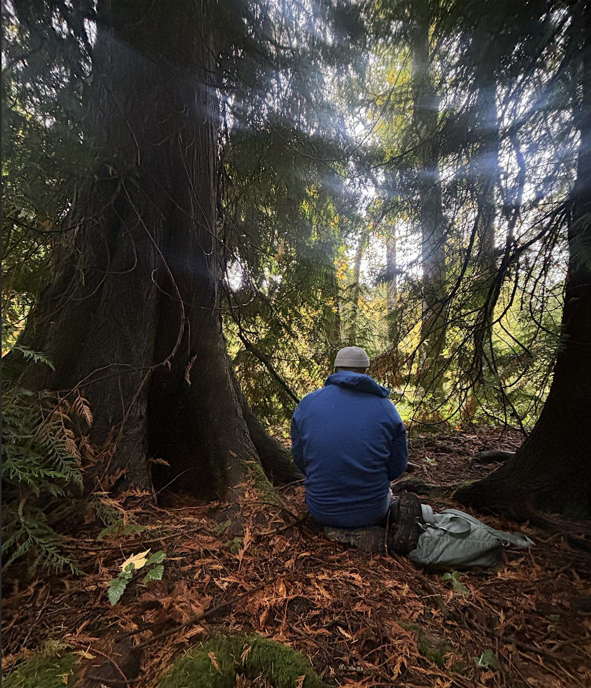 The Original A.I. (Allah\u2019s Intelligence) \u2014 Souhbah & the Secrets of Trees