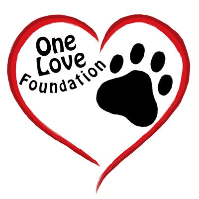 One Love Foundation Inc.