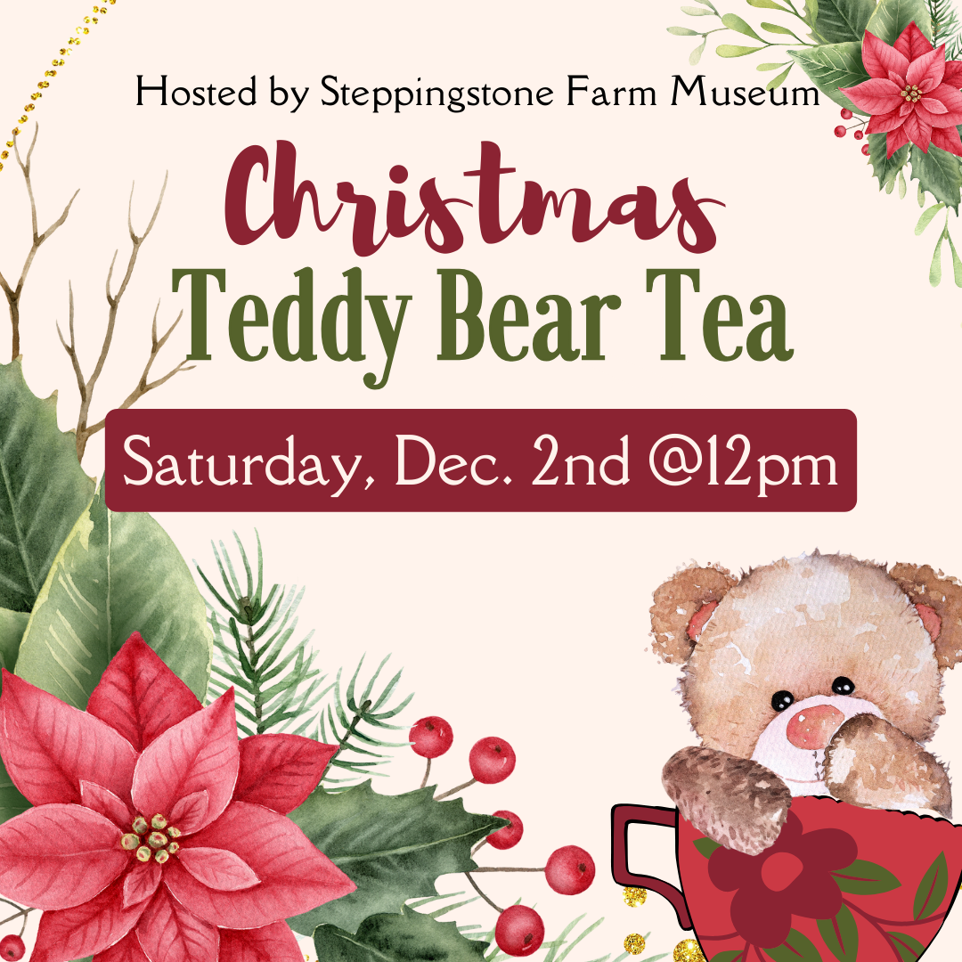 Teddy Bear Tea at Rialto Square Theatre