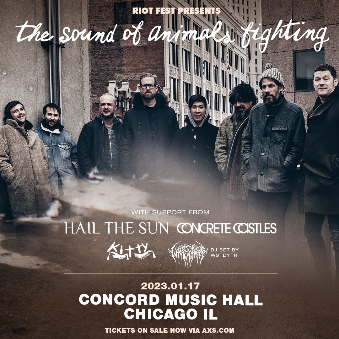 The Sound of Animals Fighting at Ace of Spades