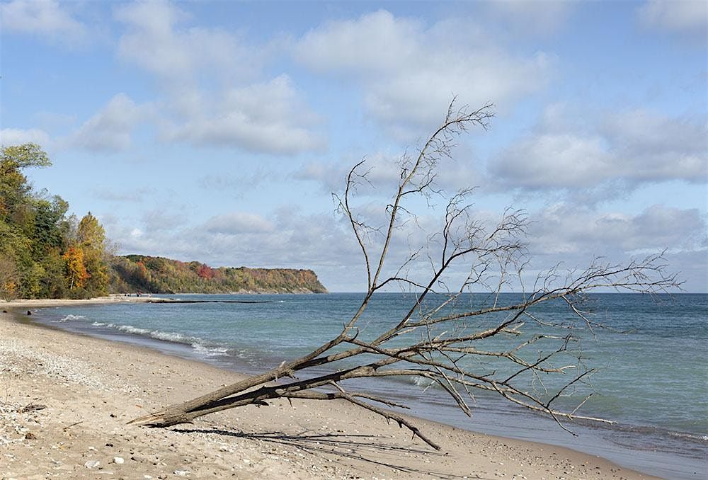 Earth HEart MKE- Free Event