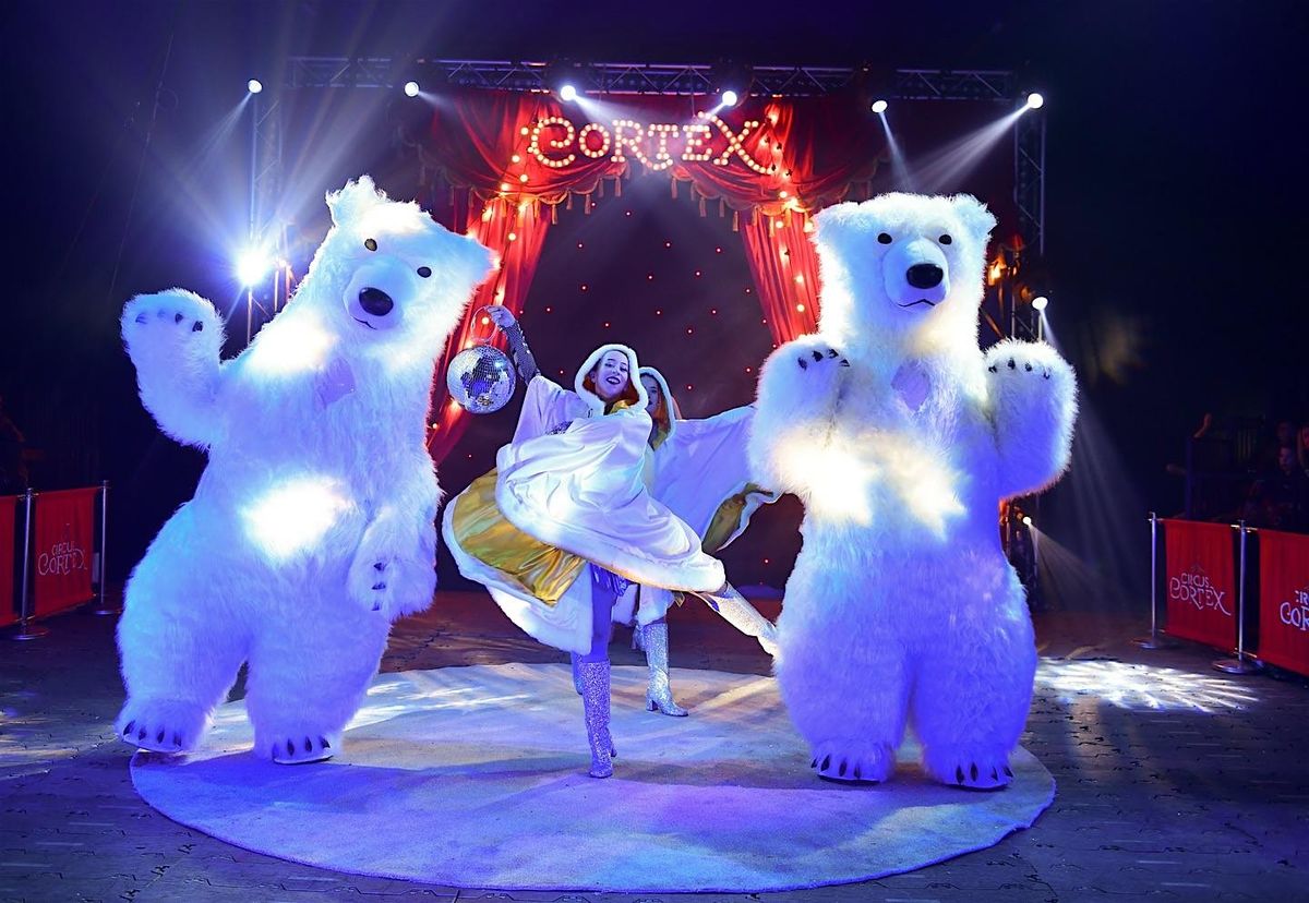 Meadowhall's Magical Winterland returns with brand-new Winter Spectacular