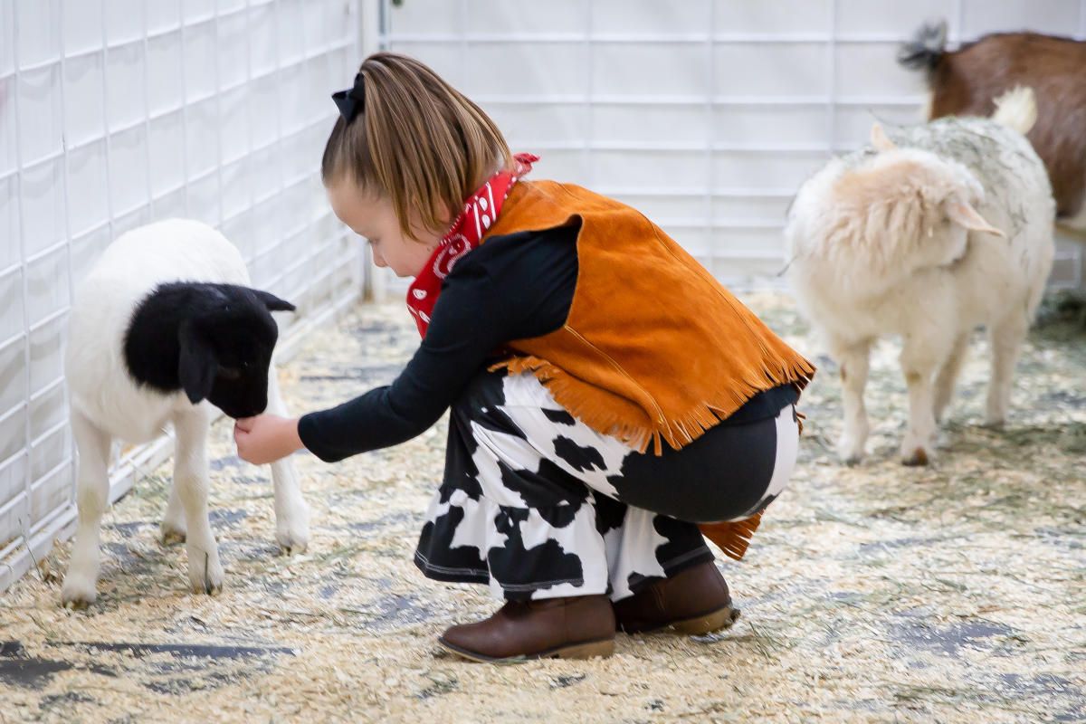 National Western Stock Show - NWSS Grand Prix at NW Events Center\/Cinch Arena