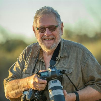 Steve Parish - Nature Connect Pty Ltd