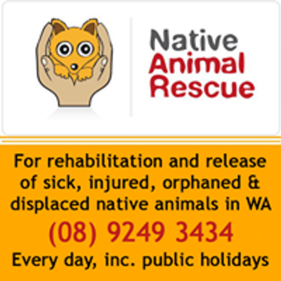 Native Animal Rescue