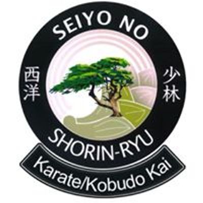 Branson Karate - Seiyo No Shorin-Ryu Karate & Kobudo Kai