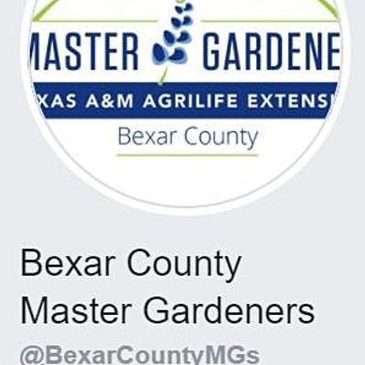 Bexar County Master Gardeners