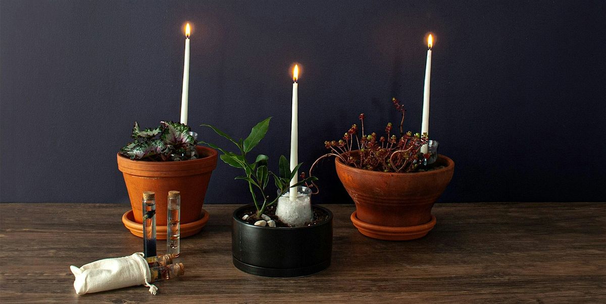 Make-n-Take: Horticultural Spell Jars at Mahoney's Brighton