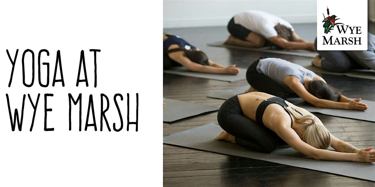 Yoga at Wye Marsh