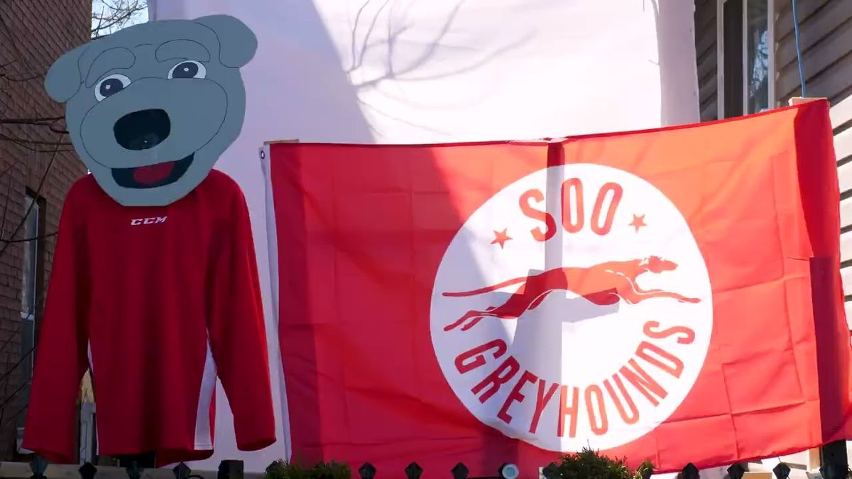 Sault Ste Marie - Soo Greyhounds at Saginaw Spirit at Dow Event Center