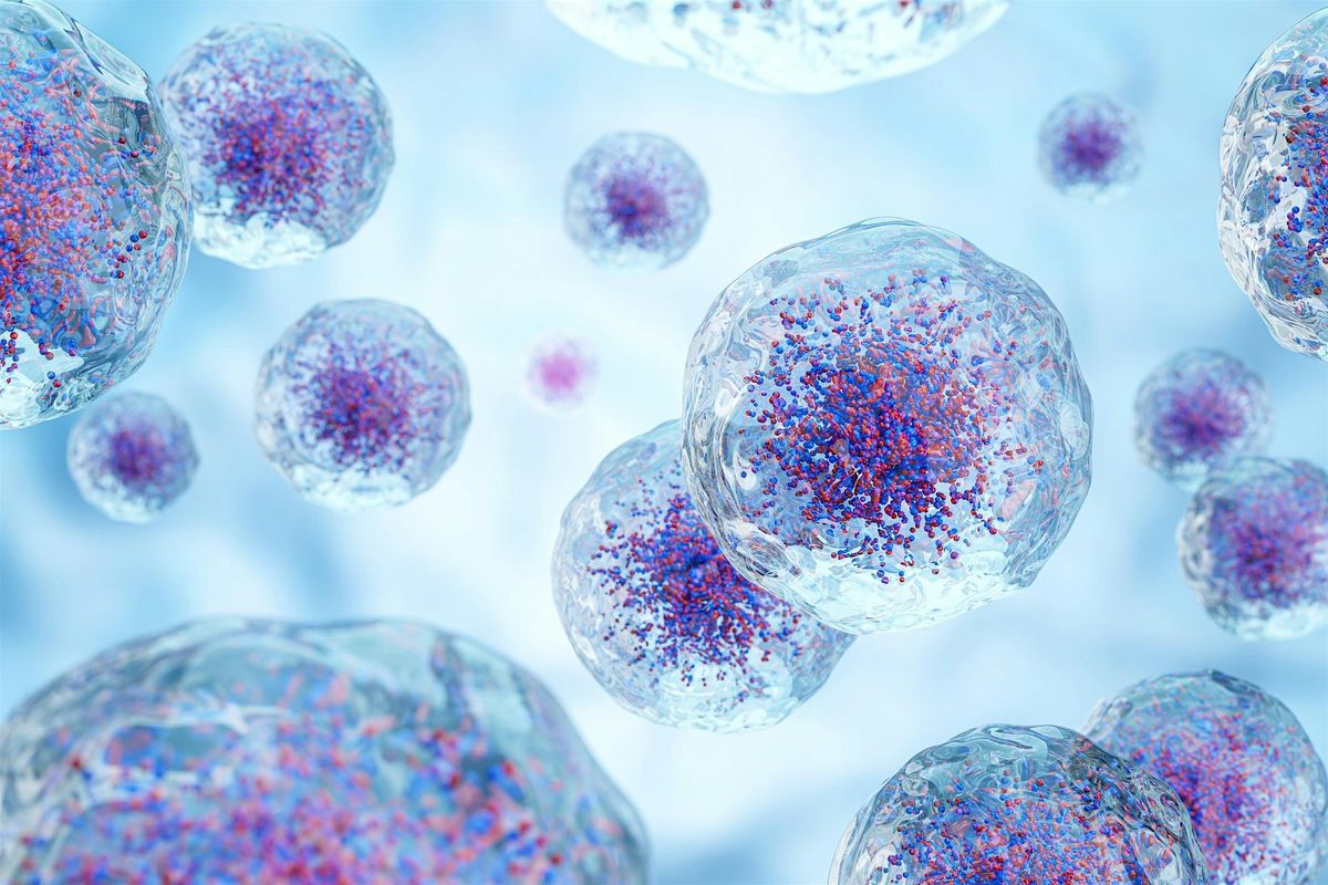 Managing Acute Oncology: Toxicities, Complications and Challenges