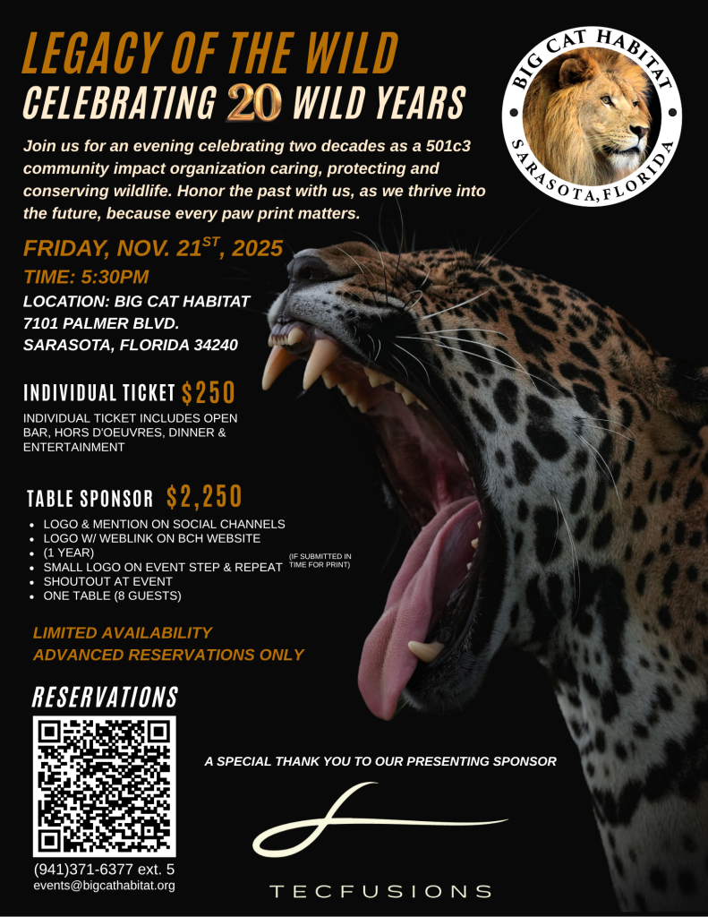 ROAR! New Years Eve Showcase at The Armory - MGM Springfield