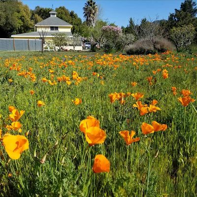 Chaparral Gardens