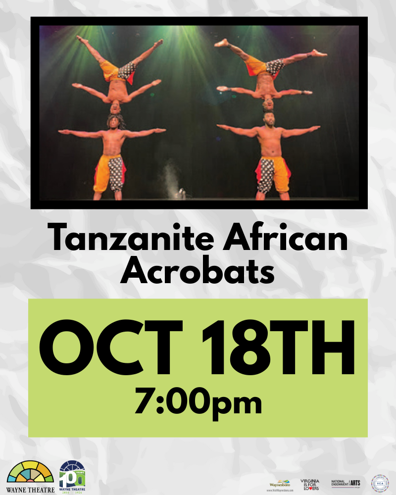 Tanzanite African Acrobats at Wayne Theatre