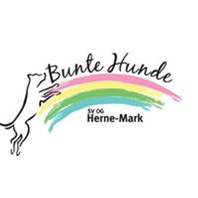 Bunte Hunde - SV OG Herne-Mark