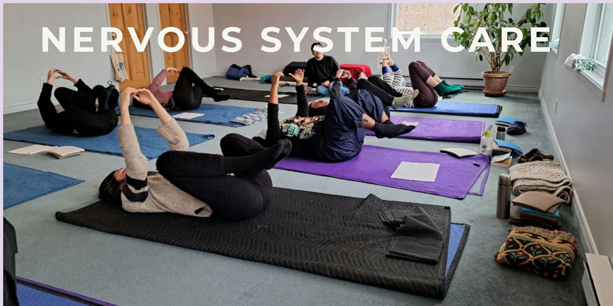 Nervous System Care - In Person