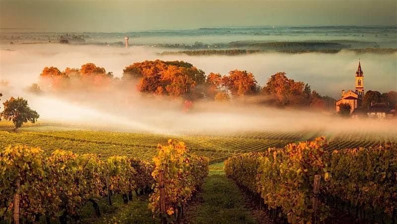 A Night in Bordeaux: French Wine Dinner