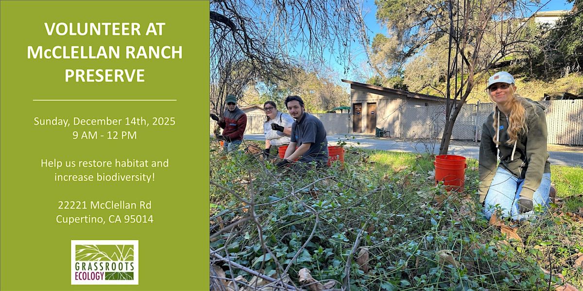 Nurture Nature: Volunteer Outside at McClellan Ranch Preserve