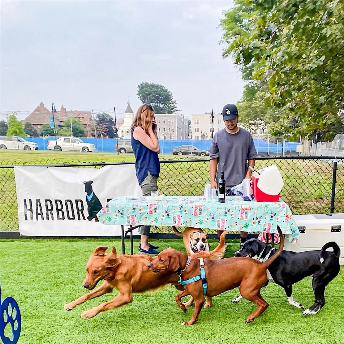 Yappy Hour in Commons Park Dog Park